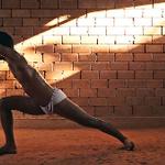 Professor Anal Shah's new film selected for the Viennale in Vienna, Austria